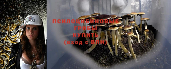 дживик Абинск